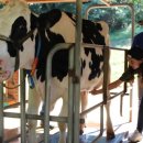 놀이터목장 이미지