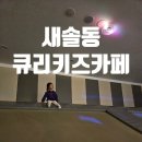 송산중고낚시 | 평일 오픈런으로 2배 더 즐기기 : 새솔동 키즈카페 큐리키즈카페 송산