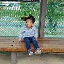 완산공원(아래) 이미지