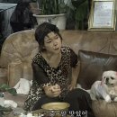 영월식당 | 영월 블루리본 맛집_오징어 불백 하나로 12년 연속 블루리본 선정,영월 사랑방식당 후기, 주차 등