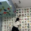 포항골수클라이밍클럽