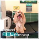 버블독스(안산초지점) 이미지