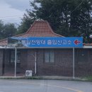 통일애견 | [강원도 고성 가볼만한곳] 통일전망대 애견동반 방문 후기