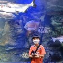 삼대빌딩 이미지