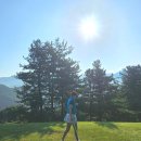 필로스짐 | 필로스CC, 1부 그린피12만원 라운드 찐후기..잔디 이 상태인데 3부 노캐디 풀가동이라니