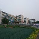 공세길 네이버블로그