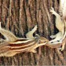 문화누리관 이미지