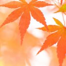 햇살 좋은날 이미지