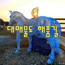해품길펜션 네이버블로그