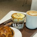 봄을담아 이미지