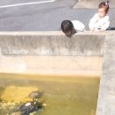 칠갑산식당 | 칠갑산맛집 산골짜기식당 버섯전골 후기 /충남청양맛집