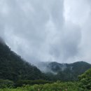 천문1길 | 원주 대가족 여행 | 오크밸리 숙소 및 수영장, 천문캠프, 소나타오브라이트, 바운스슈퍼파크 후기