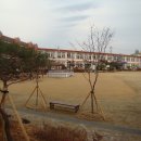 월평초교 이미지