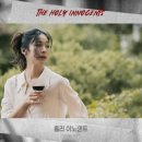 홀리