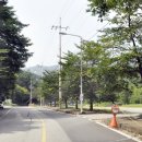 도림사 오토캠핑장 이미지