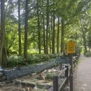 매봉약수터 | ⛰️ 청계산 매봉코스｜매봉 정상 582.5m, 도심 속 힐링 산행