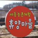 세동식당 이미지