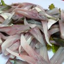 제주수산 이미지