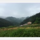 다시농장 이미지