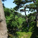 원주굽이길 15코스 백운산자연휴양림길 이미지