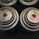 수원-0995 이미지