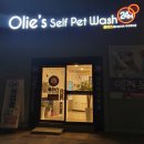 올리스 아시아드점 이미지