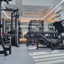 바디플래너 이미지