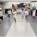 도마효태권도장