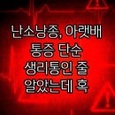 여포식품 | 난소낭종, 아랫배 통증 단순 생리통인 줄 알았는데 혹 커지기 전 신호일까?