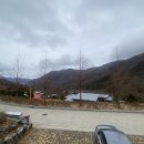 보현산자연휴양림 이미지