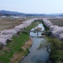 홍동면행정복지센터 이미지