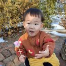 운마2농장 이미지