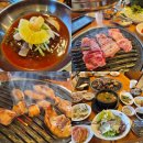도도한암퇘지 이미지