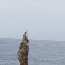 동해시-04 이미지