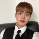 댕댕이 카페 이미지