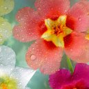 다르게 천천히 이미지