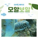 브랜뉴짐 | 필리핀 모알보알 브랜뉴 스쿠버리조트 숙박 식사 다이빙 패키지 정어리 포인트