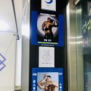 피티에프 이미지