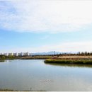 남악수변공원 이미지
