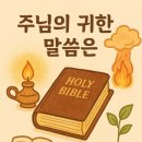 206 이미지