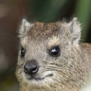 맥주창고 이미지