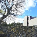 팽나무 펜션 이미지