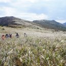 청수당구장 이미지