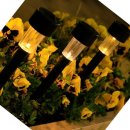 아름다운쇼핑나라 이미지