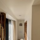 스테이아호이 이미지