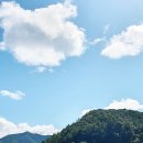 포천 한탄강 Y형 출렁다리 이미지