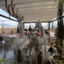 동진당구장 이미지