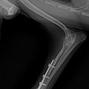 열린24시동물병원 이미지