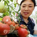 강금자농장 이미지