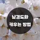 남경 이미지